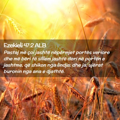 Picture 02 - Ezekieli 47:2 ALB - Pastaj më çoi jashtë nëpërmjet portës - Bible Verse Picture