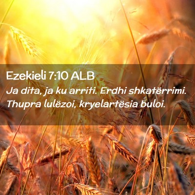Picture 02 - Ezekieli 7:10 ALB - Ja dita, ja ku arriti. Erdhi shkatërrimi. Thupra - Bible Verse Picture
