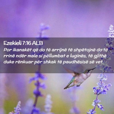 Picture 02 - Ezekieli 7:16 ALB - Por ikanakët që do të arrijnë të shpëtojnë - Bible Verse Picture