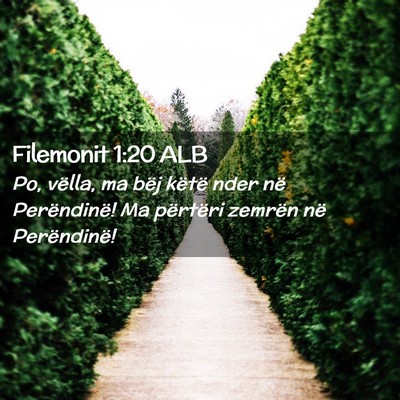 Picture 02 - Filemonit 1:20 ALB - Po, vëlla, ma bëj këtë nder në Perëndinë! - Bible Verse Picture