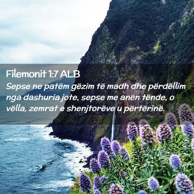 Picture 02 - Filemonit 1:7 ALB - Sepse ne patëm gëzim të madh dhe përdëllim - Bible Verse Picture
