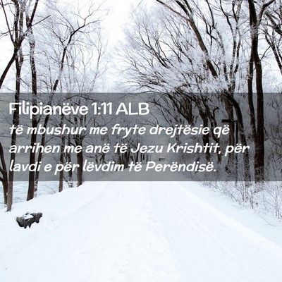 Picture 02 - Filipianëve 1:11 ALB - të mbushur me fryte drejtësie që arrihen me - Bible Verse Picture
