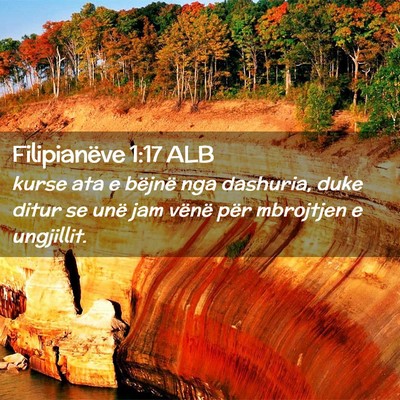 Picture 02 - Filipianëve 1:17 ALB - kurse ata e bëjnë nga dashuria, duke ditur se - Bible Verse Picture