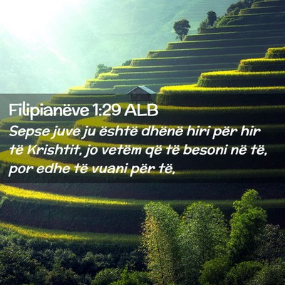 Picture 02 - Filipianëve 1:29 ALB - Sepse juve ju është dhënë hiri për hir të - Bible Verse Picture