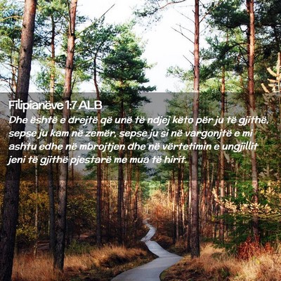 Picture 02 - Filipianëve 1:7 ALB - Dhe është e drejtë që unë të ndjej këto - Bible Verse Picture