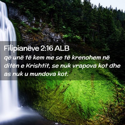 Picture 02 - Filipianëve 2:16 ALB - që unë të kem me se të krenohem në ditën e - Bible Verse Picture