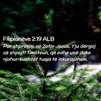 Picture 02 - Filipianëve 2:19 ALB - Por shpresoj, në Zotin Jezus, t’ju dërgoj së - Bible Verse Picture