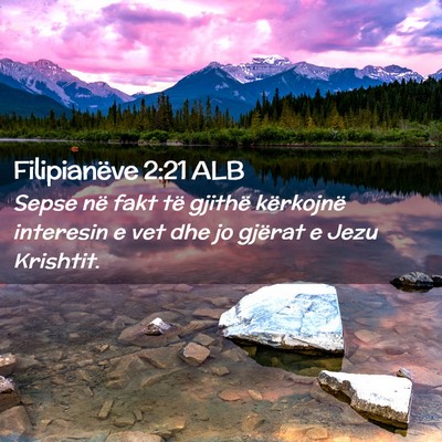 Picture 02 - Filipianëve 2:21 ALB - Sepse në fakt të gjithë kërkojnë interesin e - Bible Verse Picture