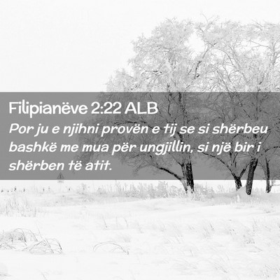 Picture 02 - Filipianëve 2:22 ALB - Por ju e njihni provën e tij se si shërbeu - Bible Verse Picture