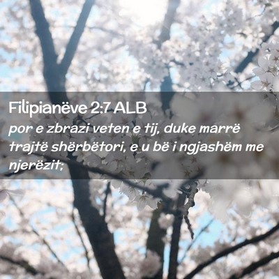 Picture 02 - Filipianëve 2:7 ALB - por e zbrazi veten e tij, duke marrë trajtë - Bible Verse Picture