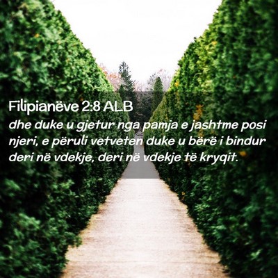 Picture 02 - Filipianëve 2:8 ALB - dhe duke u gjetur nga pamja e jashtme posi njeri, - Bible Verse Picture