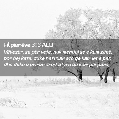 Picture 02 - Filipianëve 3:13 ALB - Vëllezër, sa për vete, nuk mendoj se e kam - Bible Verse Picture