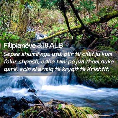 Picture 02 - Filipianëve 3:18 ALB - Sepse shumë nga ata, për të cilët ju kam - Bible Verse Picture