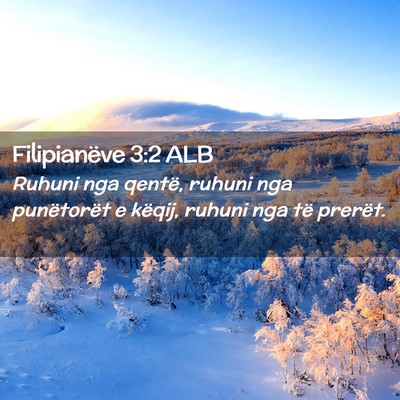Picture 02 - Filipianëve 3:2 ALB - Ruhuni nga qentë, ruhuni nga punëtorët e - Bible Verse Picture