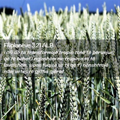Picture 02 - Filipianëve 3:21 ALB - i cili do ta transformojë trupin tonë të - Bible Verse Picture