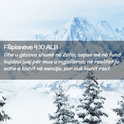 Picture 02 - Filipianëve 4:10 ALB - Dhe u gëzova shumë në Zotin, sepse më në - Bible Verse Picture