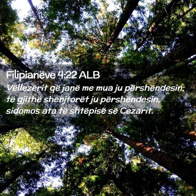 Picture 02 - Filipianëve 4:22 ALB - Vëllezërit që janë me mua ju përshëndesin; - Bible Verse Picture