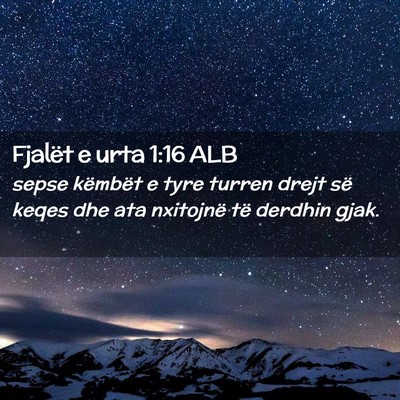 Picture 02 - Fjalët e urta 1:16 ALB - sepse këmbët e tyre turren drejt së keqes dhe - Bible Verse Picture