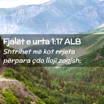 Picture 02 - Fjalët e urta 1:17 ALB - Shtrihet më kot rrjeta përpara çdo lloji - Bible Verse Picture