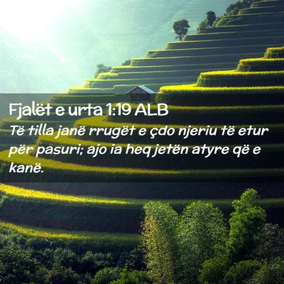 Picture 02 - Fjalët e urta 1:19 ALB - Të tilla janë rrugët e çdo njeriu të etur - Bible Verse Picture