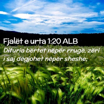 Picture 02 - Fjalët e urta 1:20 ALB - Dituria bërtet nëpër rrugë, zëri i saj - Bible Verse Picture