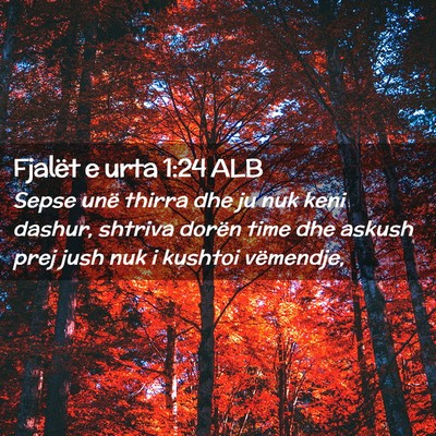 Picture 02 - Fjalët e urta 1:24 ALB - Sepse unë thirra dhe ju nuk keni dashur, shtriva - Bible Verse Picture
