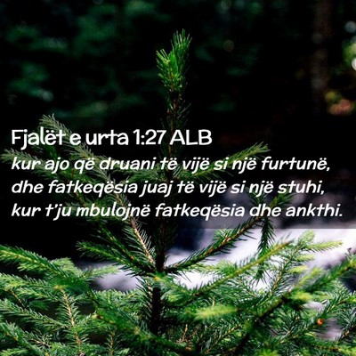 Picture 02 - Fjalët e urta 1:27 ALB - kur ajo që druani të vijë si një furtunë, - Bible Verse Picture