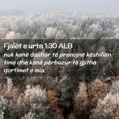 Picture 02 - Fjalët e urta 1:30 ALB - nuk kanë dashur të pranojnë këshillën time - Bible Verse Picture