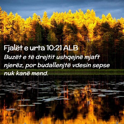 Picture 02 - Fjalët e urta 10:21 ALB - Buzët e të drejtit ushqejnë mjaft njerëz, por - Bible Verse Picture