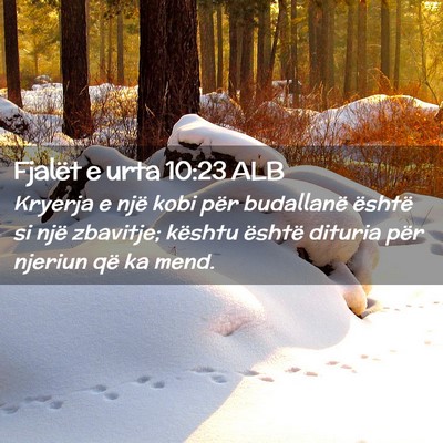 Picture 02 - Fjalët e urta 10:23 ALB - Kryerja e një kobi për budallanë është si - Bible Verse Picture