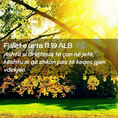 Picture 02 - Fjalët e urta 11:19 ALB - Ashtu si drejtësia të çon në jetë, kështu - Bible Verse Picture