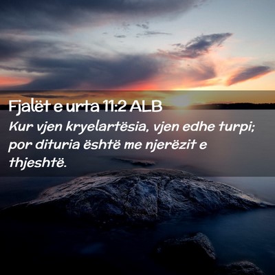 Picture 02 - Fjalët e urta 11:2 ALB - Kur vjen kryelartësia, vjen edhe turpi; por - Bible Verse Picture