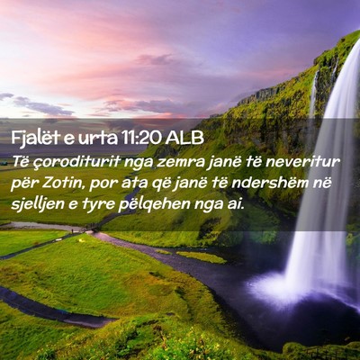 Picture 02 - Fjalët e urta 11:20 ALB - Të çoroditurit nga zemra janë të neveritur - Bible Verse Picture