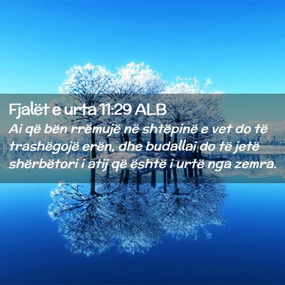 Picture 02 - Fjalët e urta 11:29 ALB - Ai që bën rrëmujë në shtëpinë e vet do të - Bible Verse Picture
