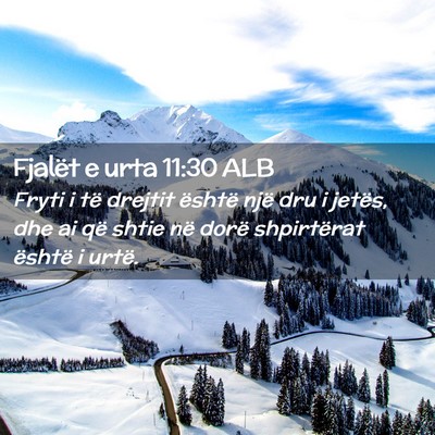 Picture 02 - Fjalët e urta 11:30 ALB - Fryti i të drejtit është një dru i jetës, - Bible Verse Picture