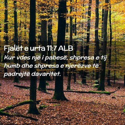Picture 02 - Fjalët e urta 11:7 ALB - Kur vdes një i pabesë, shpresa e tij humb dhe - Bible Verse Picture