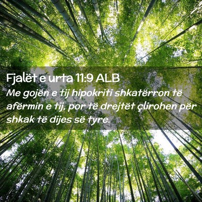 Picture 02 - Fjalët e urta 11:9 ALB - Me gojën e tij hipokriti shkatërron të - Bible Verse Picture