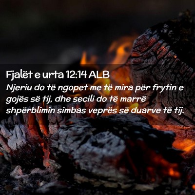 Picture 02 - Fjalët e urta 12:14 ALB - Njeriu do të ngopet me të mira për frytin e - Bible Verse Picture
