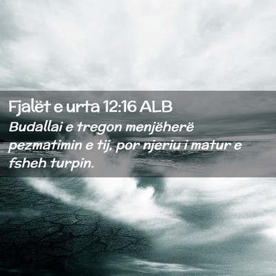 Picture 02 - Fjalët e urta 12:16 ALB - Budallai e tregon menjëherë pezmatimin e tij, - Bible Verse Picture