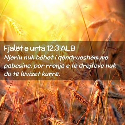 Picture 02 - Fjalët e urta 12:3 ALB - Njeriu nuk bëhet i qëndrueshëm me pabesinë, - Bible Verse Picture