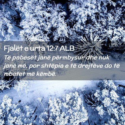 Picture 02 - Fjalët e urta 12:7 ALB - Të pabesët janë përmbysur dhe nuk janë më, - Bible Verse Picture