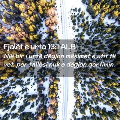 Picture 02 - Fjalët e urta 13:1 ALB - Një bir i urtë dëgjon mësimet e atit të vet, - Bible Verse Picture