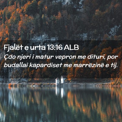 Picture 02 - Fjalët e urta 13:16 ALB - Çdo njeri i matur vepron me dituri, por budallai - Bible Verse Picture