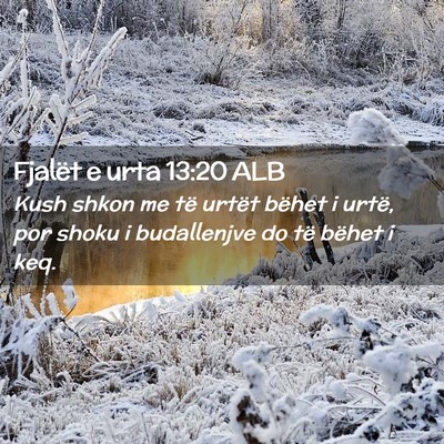 Picture 02 - Fjalët e urta 13:20 ALB - Kush shkon me të urtët bëhet i urtë, por - Bible Verse Picture