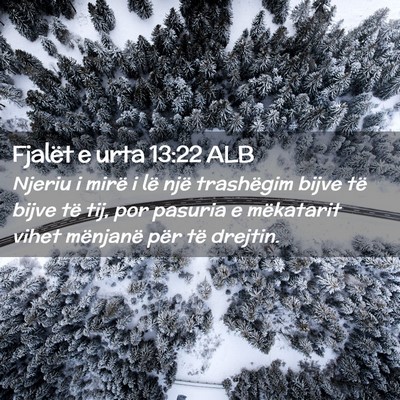 Picture 02 - Fjalët e urta 13:22 ALB - Njeriu i mirë i lë një trashëgim bijve të - Bible Verse Picture