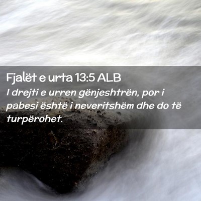 Picture 02 - Fjalët e urta 13:5 ALB - I drejti e urren gënjeshtrën, por i pabesi - Bible Verse Picture