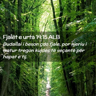 Picture 02 - Fjalët e urta 14:15 ALB - Budallai i beson çdo fjale, por njeriu i matur - Bible Verse Picture