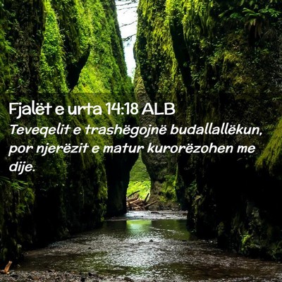 Picture 02 - Fjalët e urta 14:18 ALB - Teveqelit e trashëgojnë budallallëkun, por - Bible Verse Picture