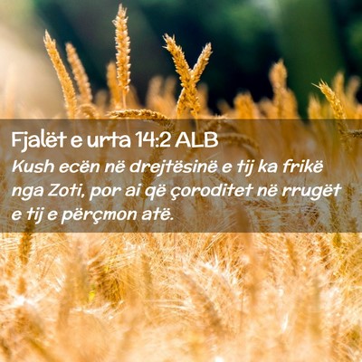 Picture 02 - Fjalët e urta 14:2 ALB - Kush ecën në drejtësinë e tij ka frikë nga - Bible Verse Picture