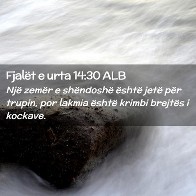 Picture 02 - Fjalët e urta 14:30 ALB - Një zemër e shëndoshë është jetë për - Bible Verse Picture